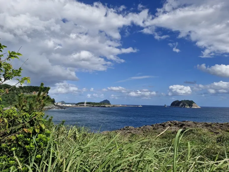 20250922_1545131.jpg?type=w773