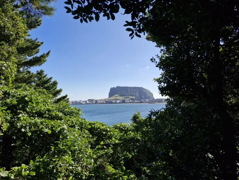 20251114_103801.jpg?type=w773