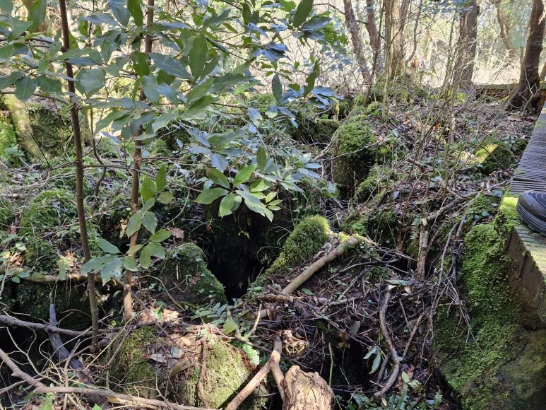 20250317_115705.jpg?type=w773