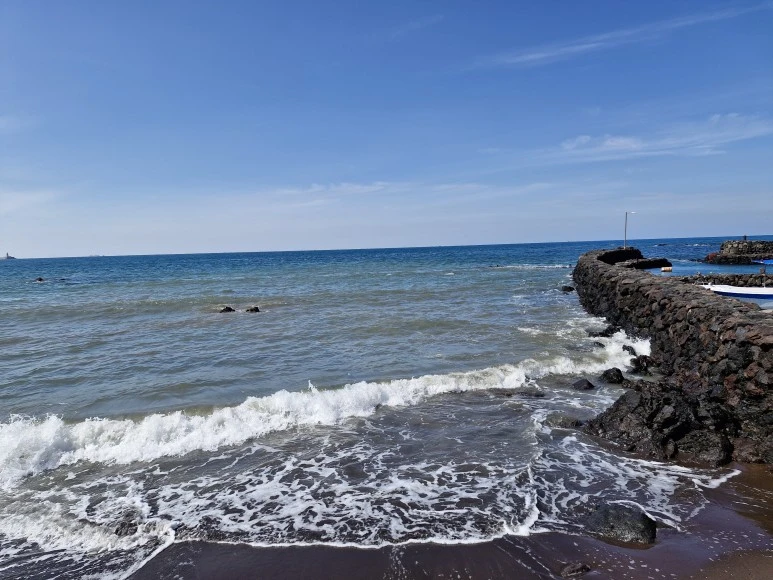 20240313_141038.jpg?type=w773