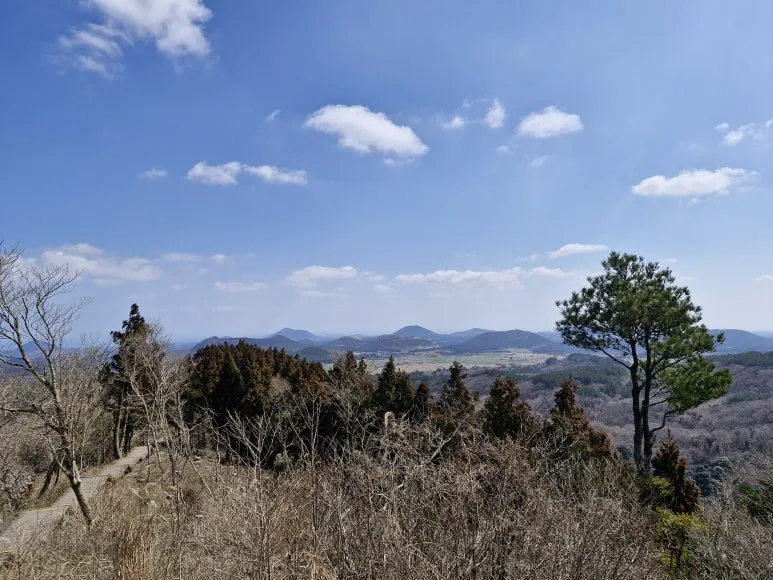 20250317_113127.jpg?type=w773