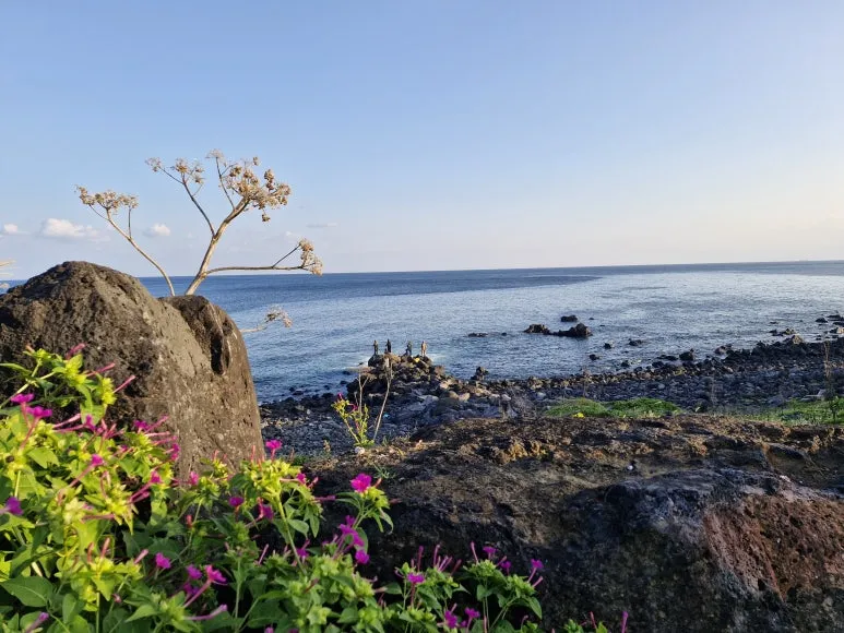 20251026_164856.jpg?type=w773