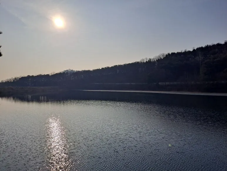 20230209_091727.jpg?type=w773