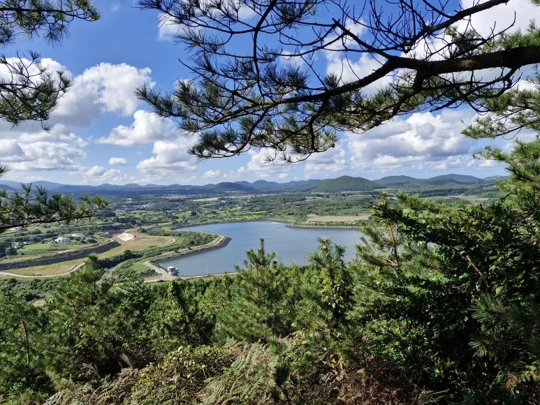 20251024_133644.jpg?type=w773