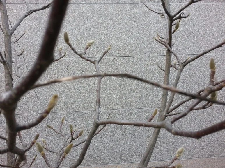 20190109_154434.jpg?type=w773