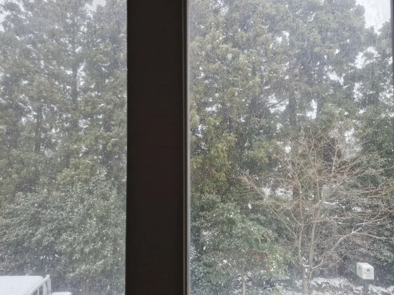 20260102_140324.jpg?type=w773