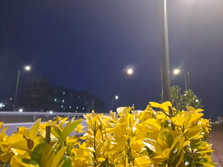 20230901_053903.jpg?type=w773