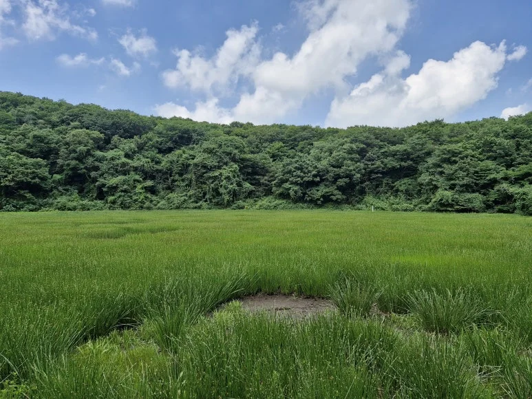 20250714_1417431.jpg?type=w773