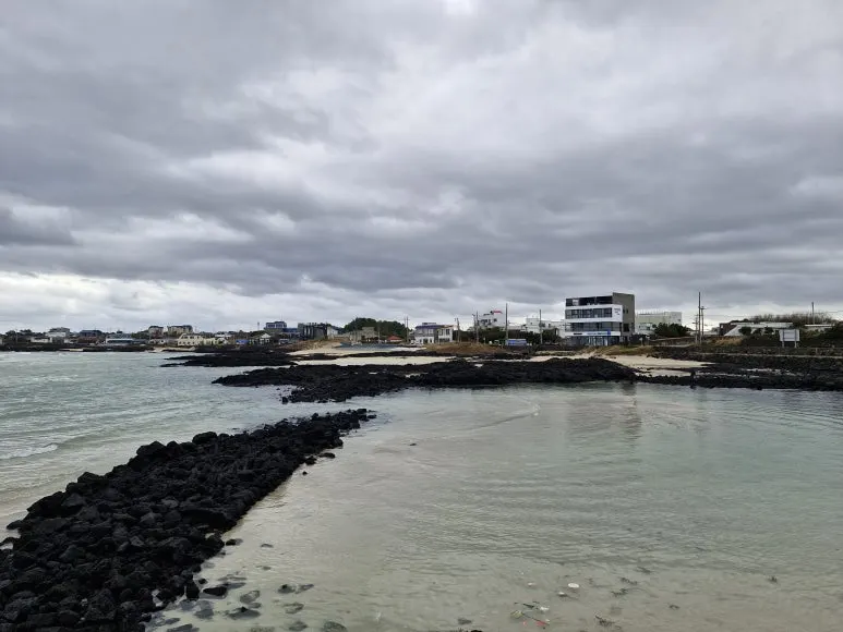 20251213_121442.jpg?type=w773