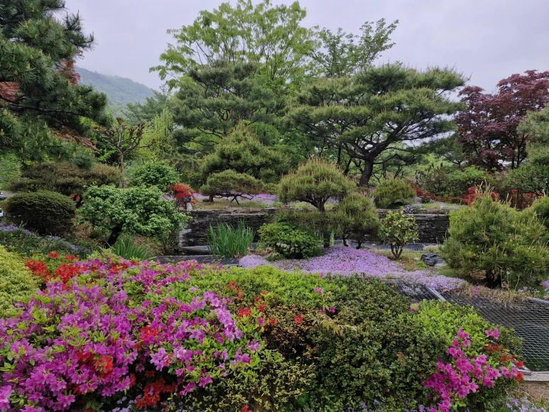 20240420_144115.jpg?type=w773