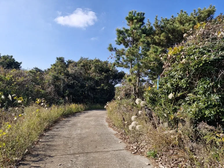 20251215_122325.jpg?type=w773