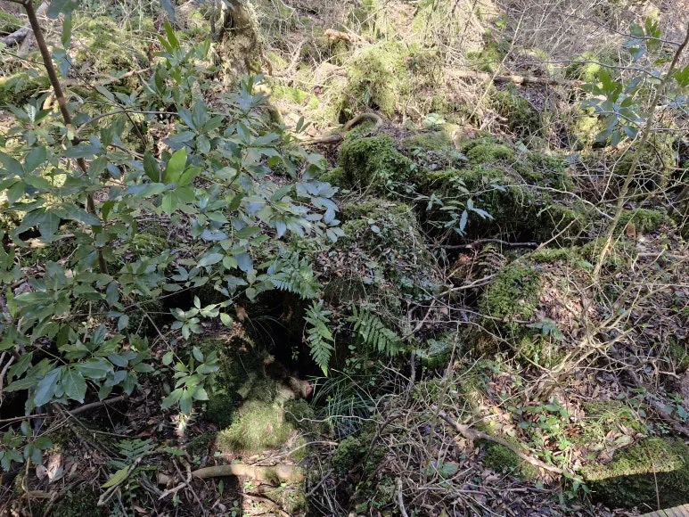 20250317_115446.jpg?type=w773