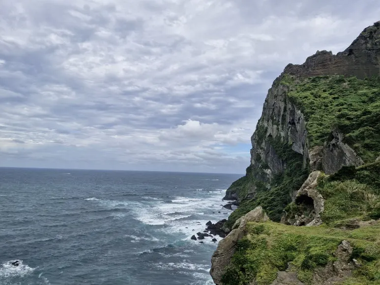 20240924_152156.jpg?type=w773