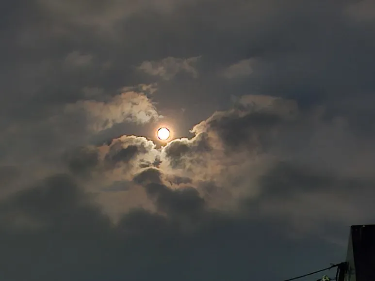 20251006_185446.jpg?type=w773