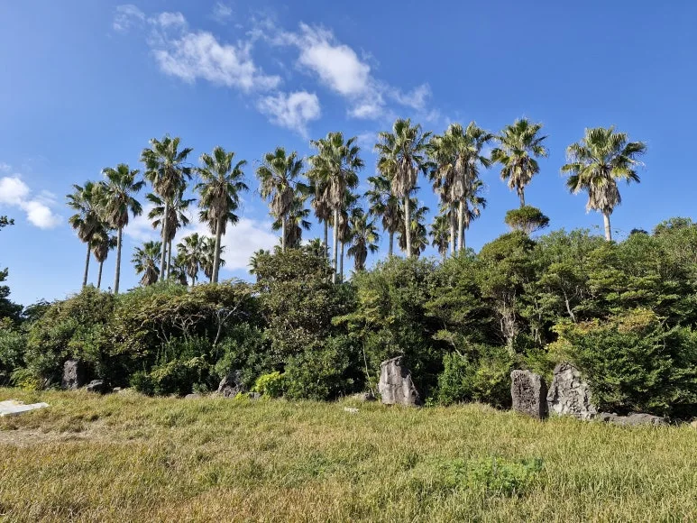 20251206_121528.jpg?type=w773