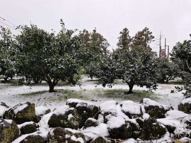 20250109_154351.jpg?type=w773