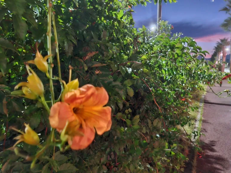 20240917_054140.jpg?type=w773