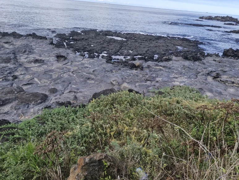 20250815_164813.jpg?type=w773