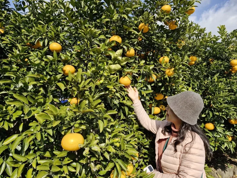 20250202_143635.jpg?type=w773