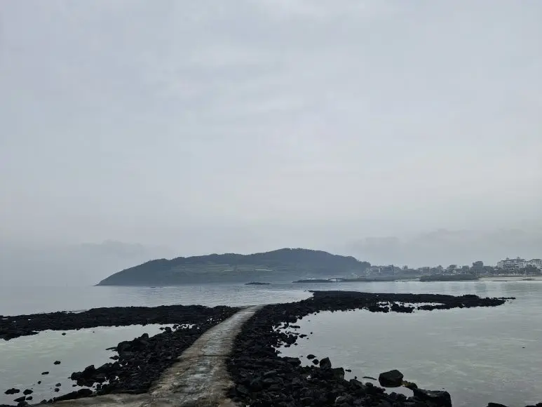 20250608_113957.jpg?type=w773