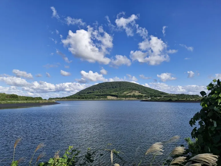 20251024_152724.jpg?type=w773