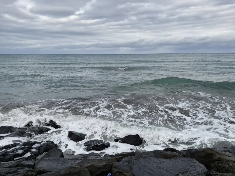 20251213_094014.jpg?type=w773