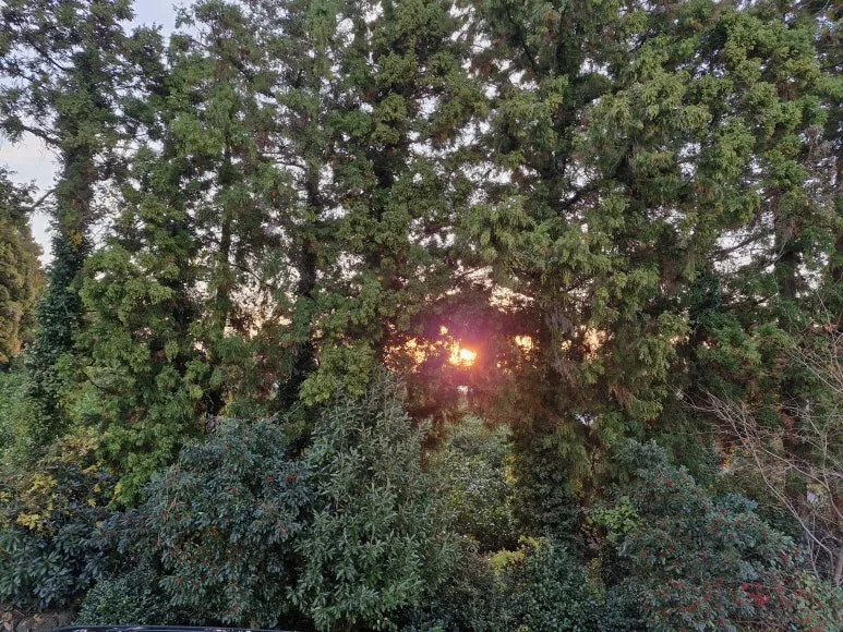 20251208_073544.jpg?type=w773