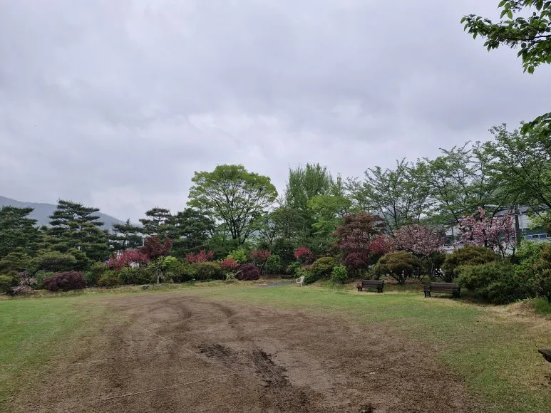 20240420_144006.jpg?type=w773