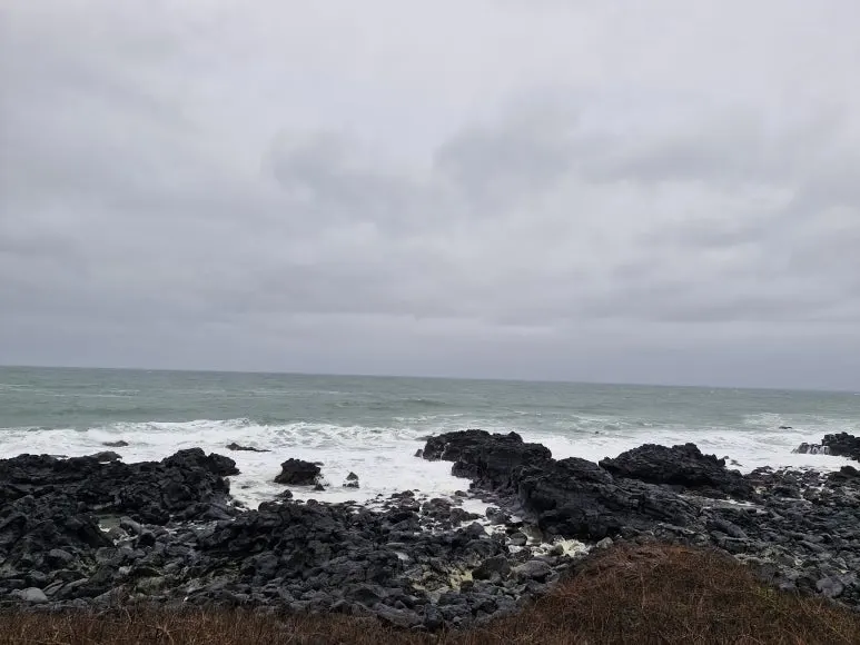 20250304_162711.jpg?type=w773