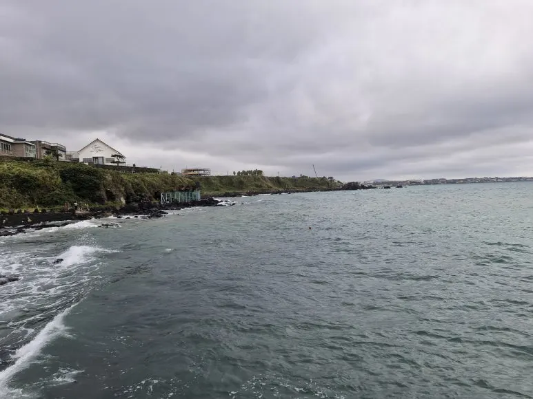 20241019_101022.jpg?type=w773