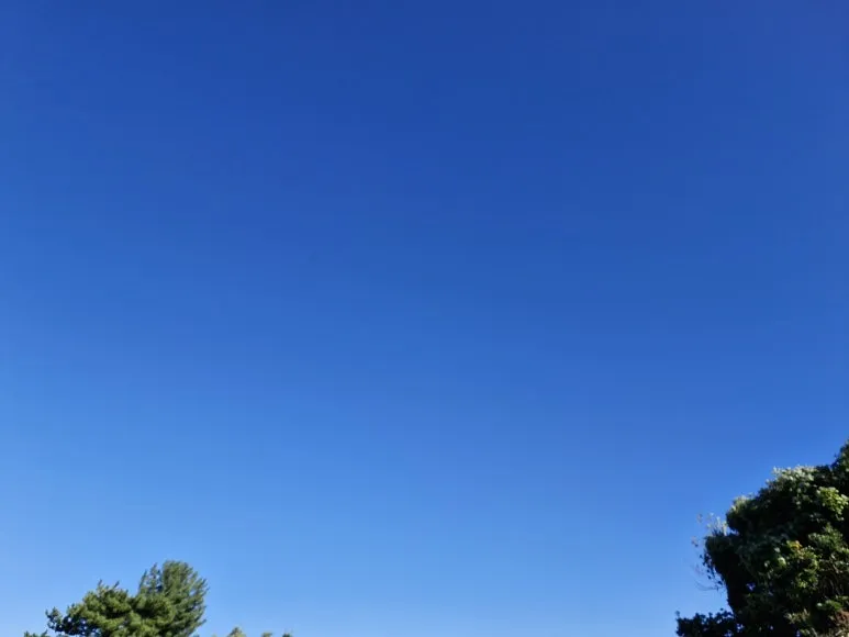 20251114_143252.jpg?type=w773