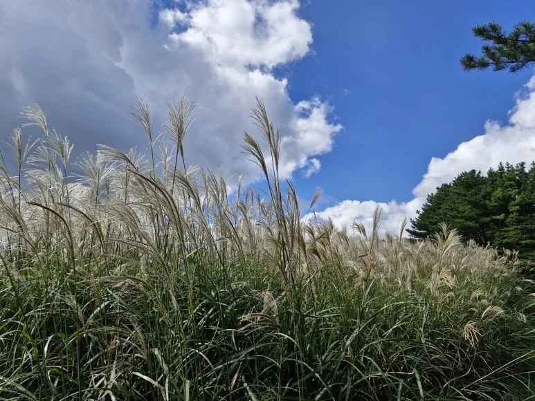 20251024_105826.jpg?type=w773