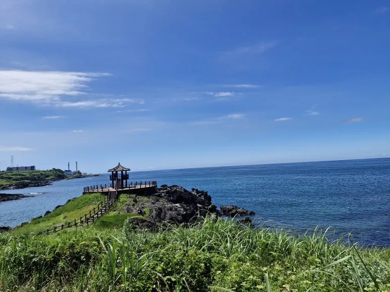 20250815_132335.jpg?type=w773