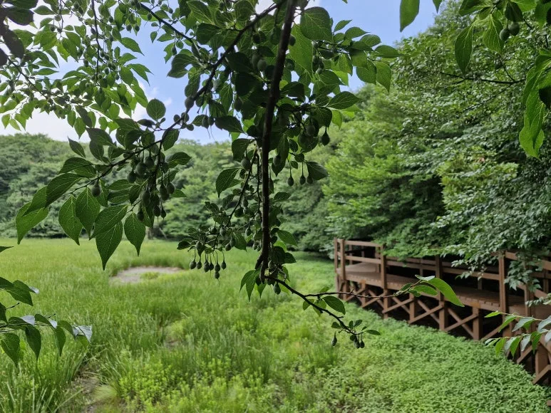 20250714_141806.jpg?type=w773