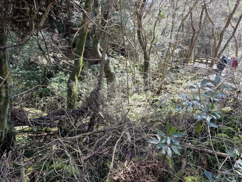 20250317_122323.jpg?type=w773