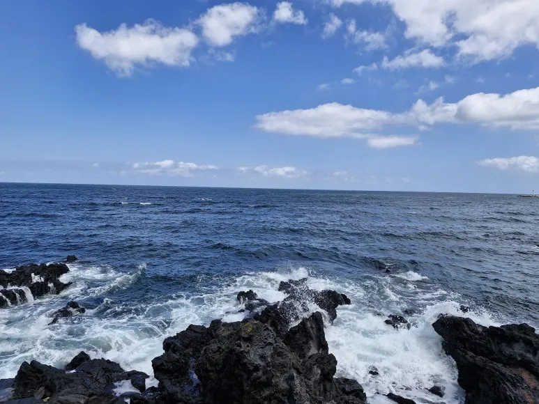 20240904_113649.jpg?type=w773