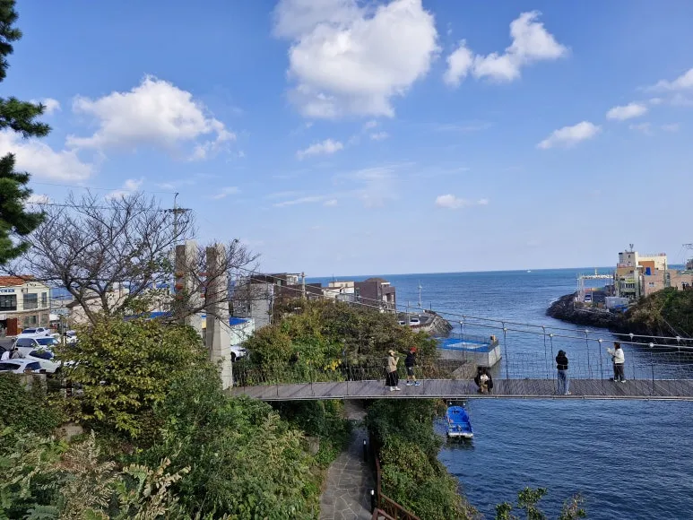 20251107_095500.jpg?type=w773