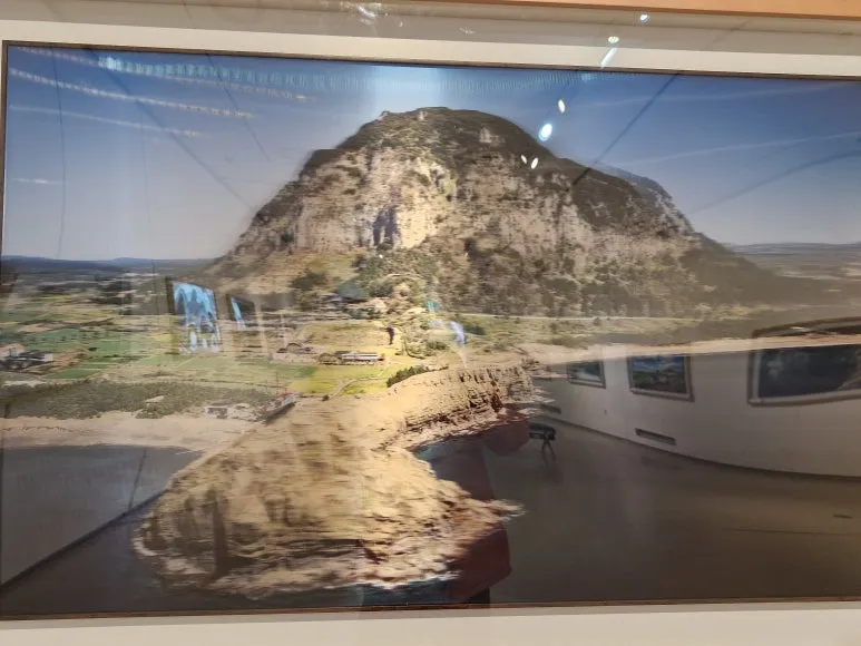 20250317_105546.jpg?type=w773