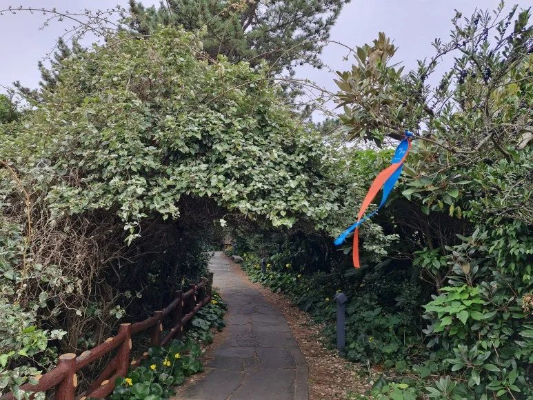 20251112_121624.jpg?type=w773