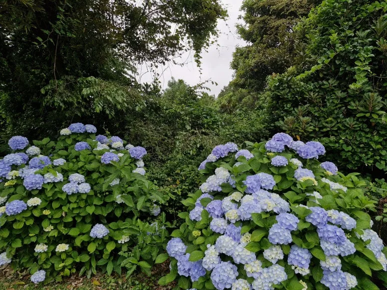 20250608_135841.jpg?type=w773