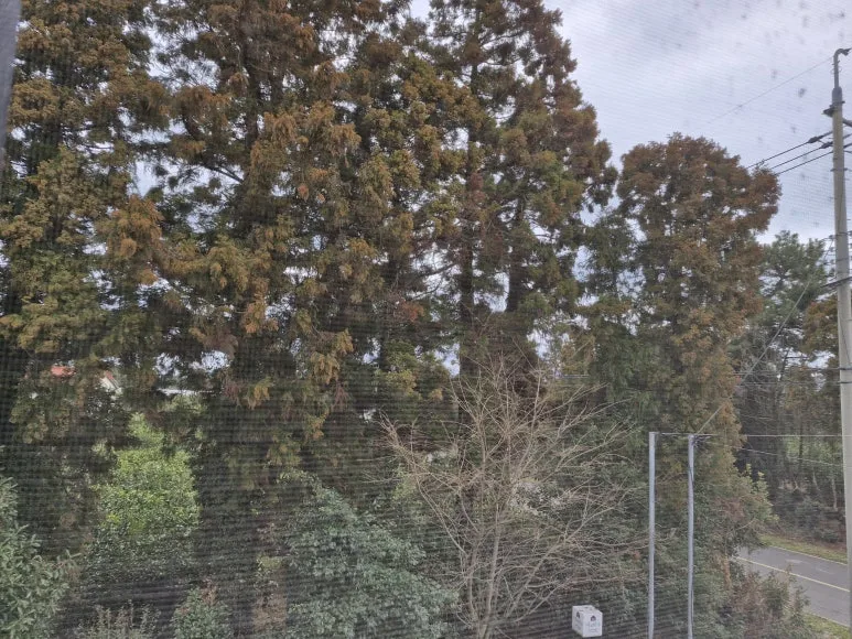 20250305_110250.jpg?type=w773