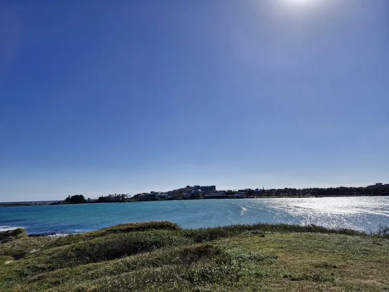 20251110_124908.jpg?type=w773