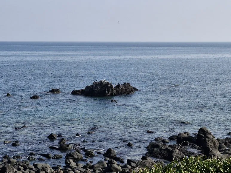 20260117_141032.jpg?type=w773