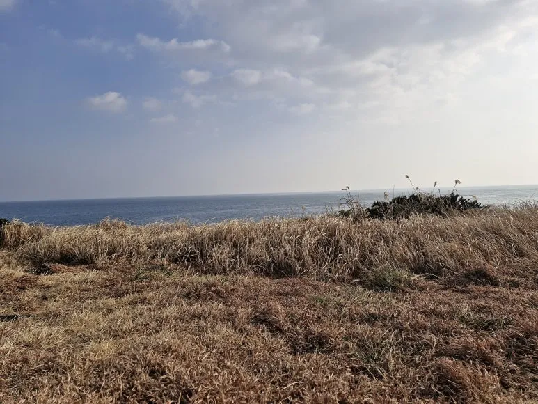 20260117_154516.jpg?type=w773