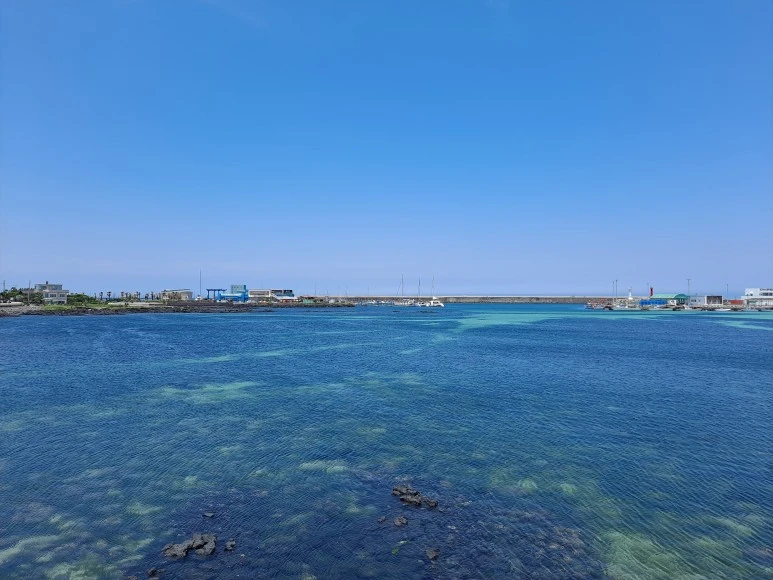 20230610_124820.jpg?type=w773