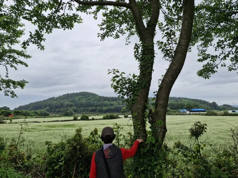 20250524_1424401.jpg?type=w773