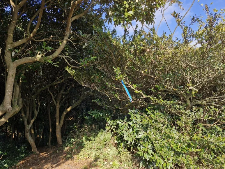 20251215_132936.jpg?type=w773