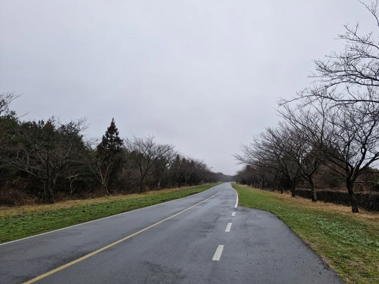 20250301_1224061.jpg?type=w773