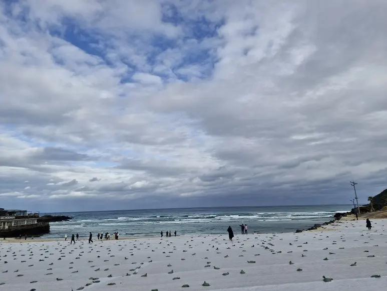 20251213_103451.jpg?type=w773