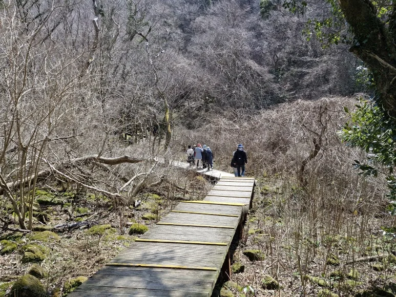 20250317_123133.jpg?type=w773